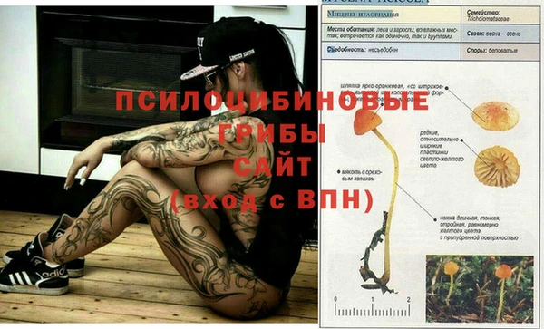 скорость mdpv Няндома