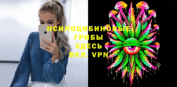 шишки Абдулино