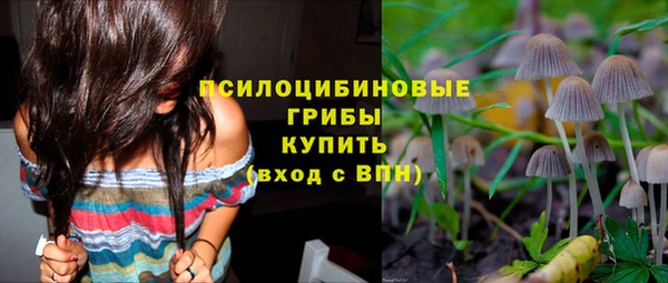 дмт Абинск