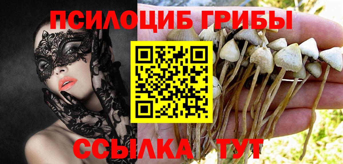 Карталы  Псилоцибиновые грибы прущие грибы  Галлюциногенные грибы Magic Shrooms  Вход с VPN 
