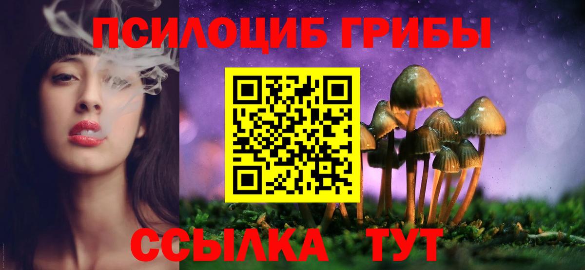 Псилоцибиновые грибы GOLDEN TEACHER Карталы